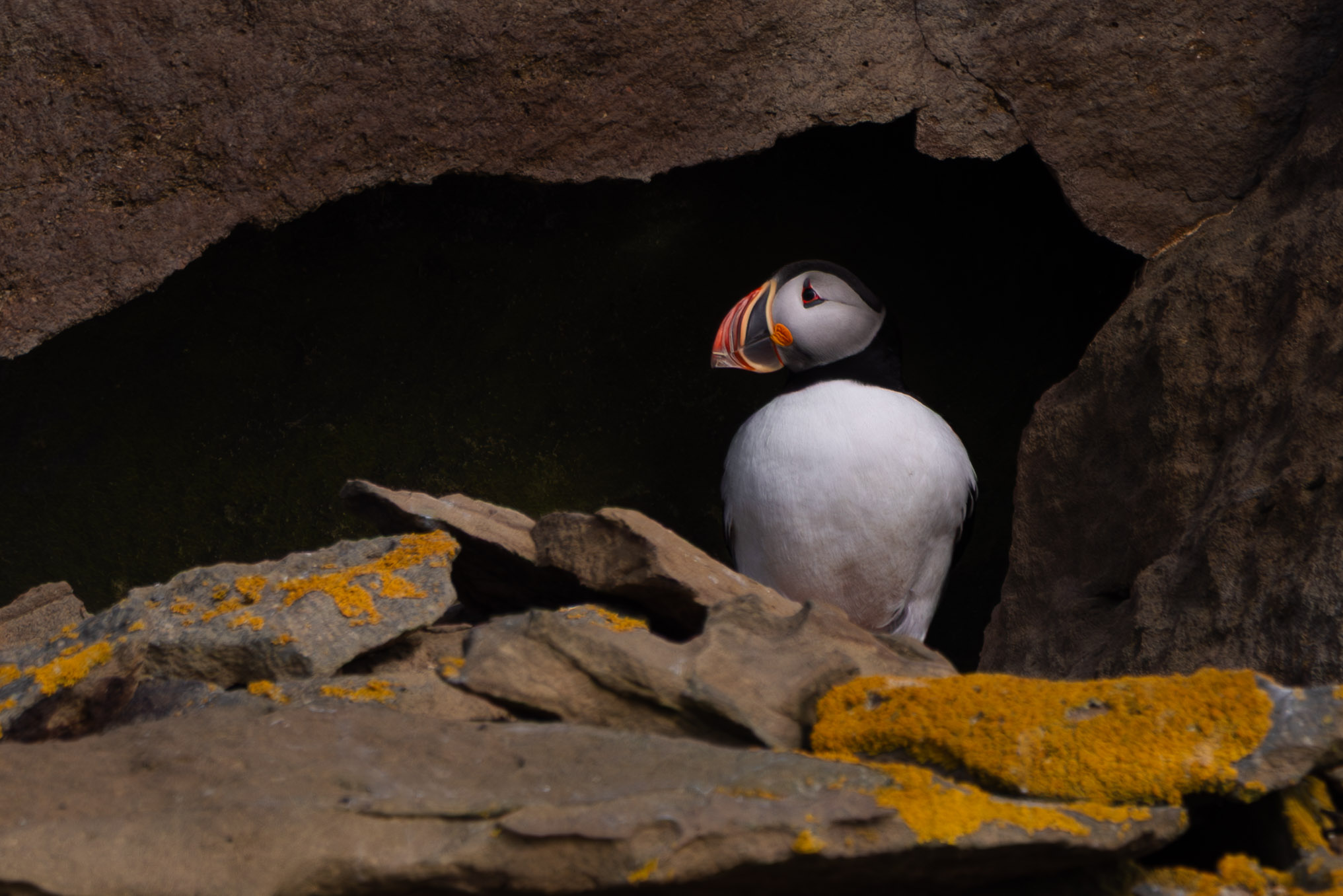 4V5A0207-Enhanced-NR-2